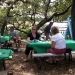 emerald-point-marina-2