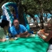 emerald-point-marina-5