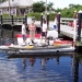 tarpon-pt-3